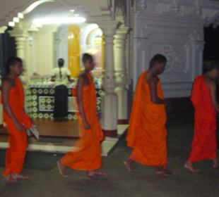 Mönche im Tempel