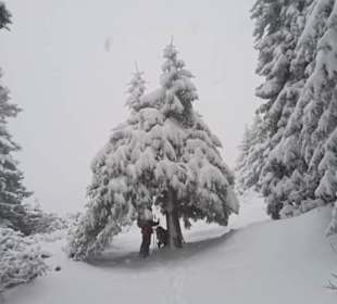 Teekuchl bei der Biwakfeichtn