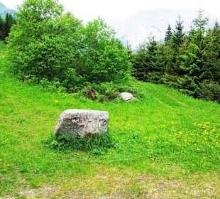 Vor dem Grünsee Landschaft