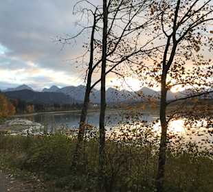 Forggensee