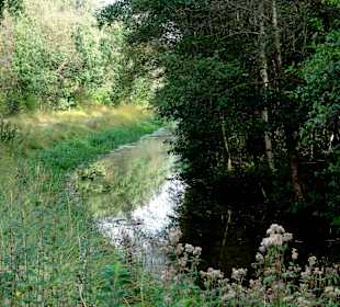 Gräben durch das Moor