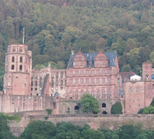 Blick zum Friedrichsbau von der Altstadt aus