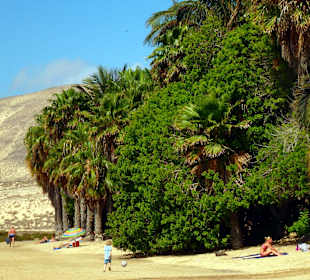 Bei Costa Calma / Windsurfing 