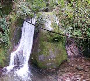 Wandern Mummelsee