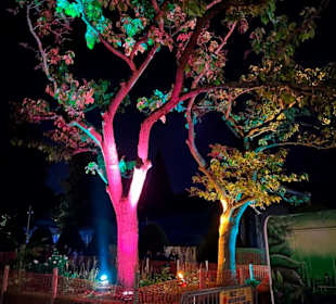 Altstadt Friedrichshafen