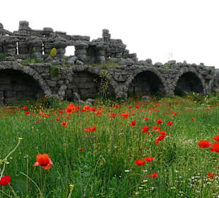 Antike Altstadt  Side