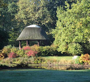 Herbstspaziergang durch den Schlosspark Lütetsburg