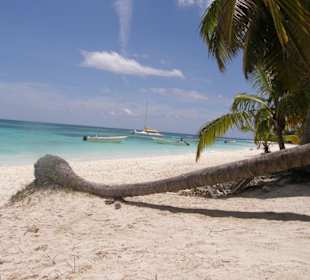 Isla Saona