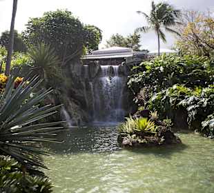 Visit the famous Jardin Botanique in Deshaies