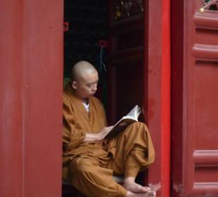 Ruhepol in der Großstadt