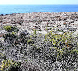 Nationalpark Kap Greco