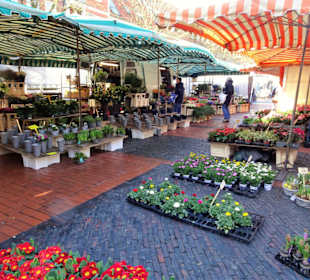 Rundgang über den Emder Wochenmarkt