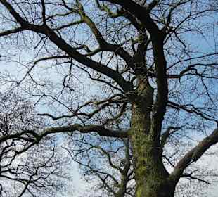 Naturschutzgebiet Boberger Niederung