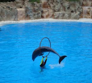 Shows und Unterhaltung