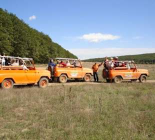 Jeep safari