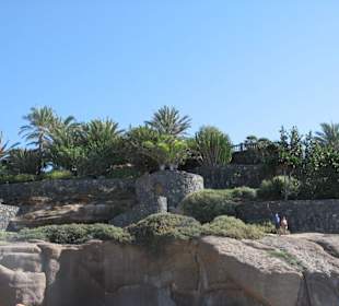 Felsen am Duque Strand
