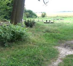 Grillplatz Einsiedel Rübgarten