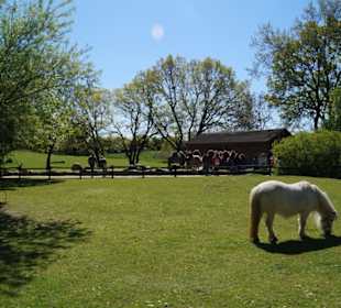 Zoo Arche Noah Grömitz