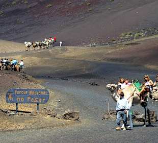 Kamelritt im Nationalpark Timanfaya