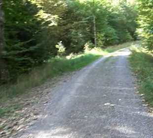 Wanderung Kirnberg-Runde Bebenhausen