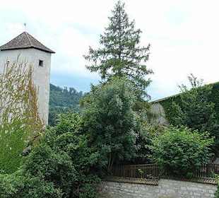 Шаффхаузен