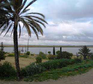 Salzsee
