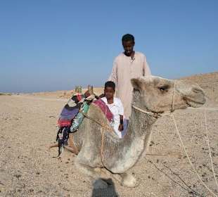 Hassan und sein Kamel