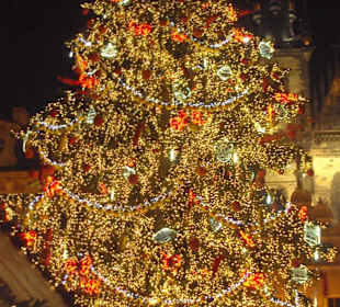 Vánoční strom na Staroměstském náměstí v Praze