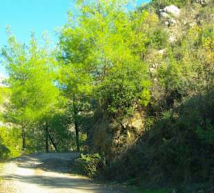 Rafting Selge National Park & Landschaft/An- & Abfahrt