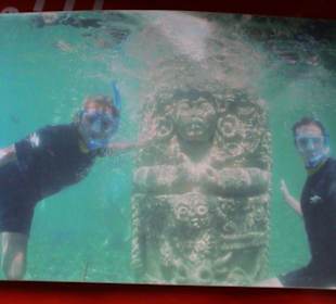 Unterwasserbild Discovery Cove