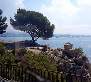 Entlang der Côte Bleue