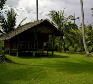 Gästehaus in Monkey School