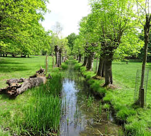 Eindrücke aus dem Tiergarten Hannover