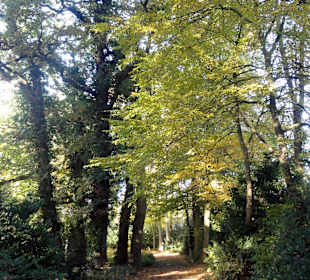 Herbstspaziergang durch den Schlosspark