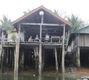 Rückkehr aus den Mangrovenwäldern -