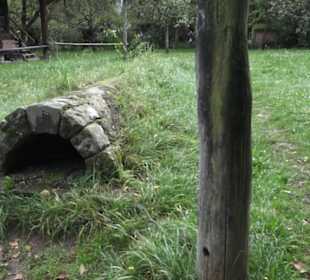 Schlössle von Effringen