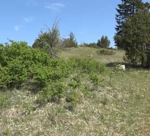 Premiumwanderweg Hochgehschätzt