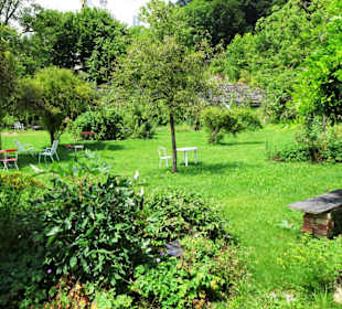 Impressionen aus dem Trostberger Rosengarten