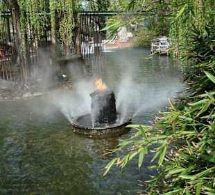 Im Englischen Themenbereich