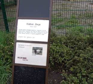 Tierpark 