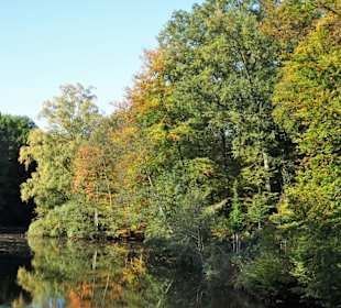 Herbst im Bremer Bürgerpark