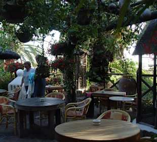 Garten vom Restaurant