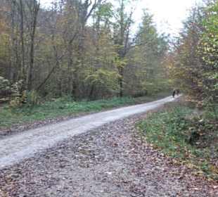 Wandertour "Rund um den Rossberg" Öschingen