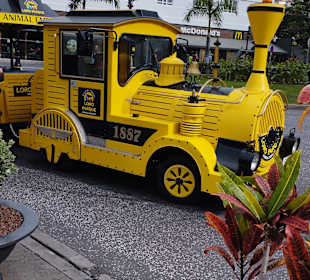 Loro Parque Express