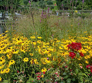 Blumenbeete soweit das Auge reicht