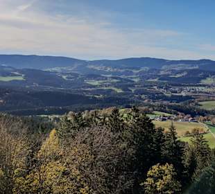 Burgruine Neunußberg