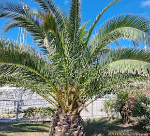 Für Bilder immer beliebt bes.am Abend