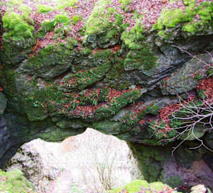 Versturzhöhle-Riesenburg