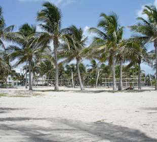 Sarasota Beach