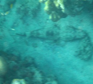 Schnorcheln Marsa Alam